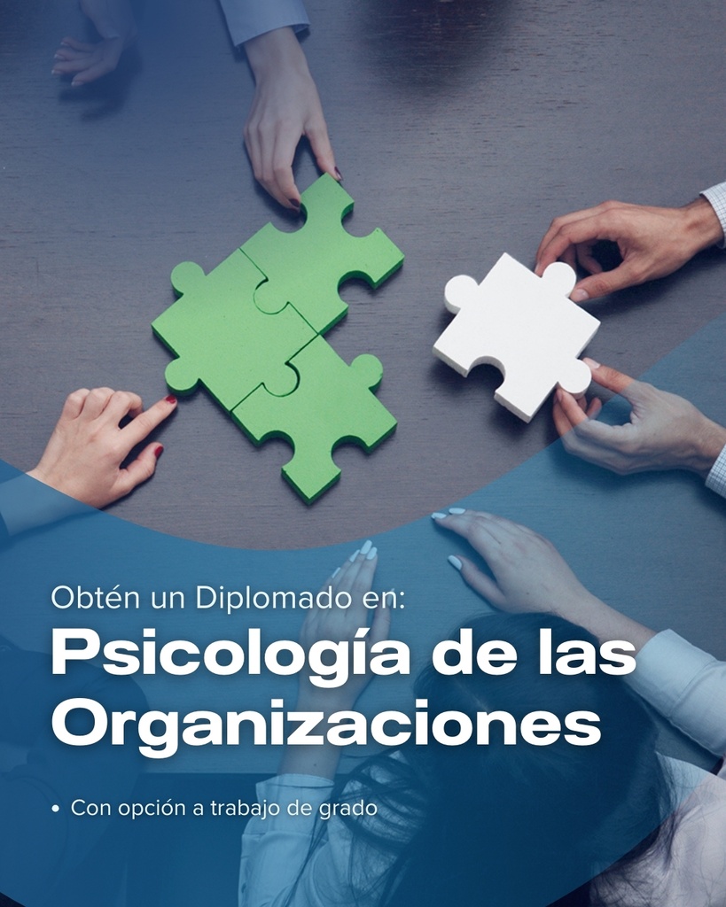 Diplomado en Psicología de las Organizaciones