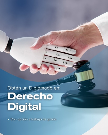Diplomado en Derecho Digital